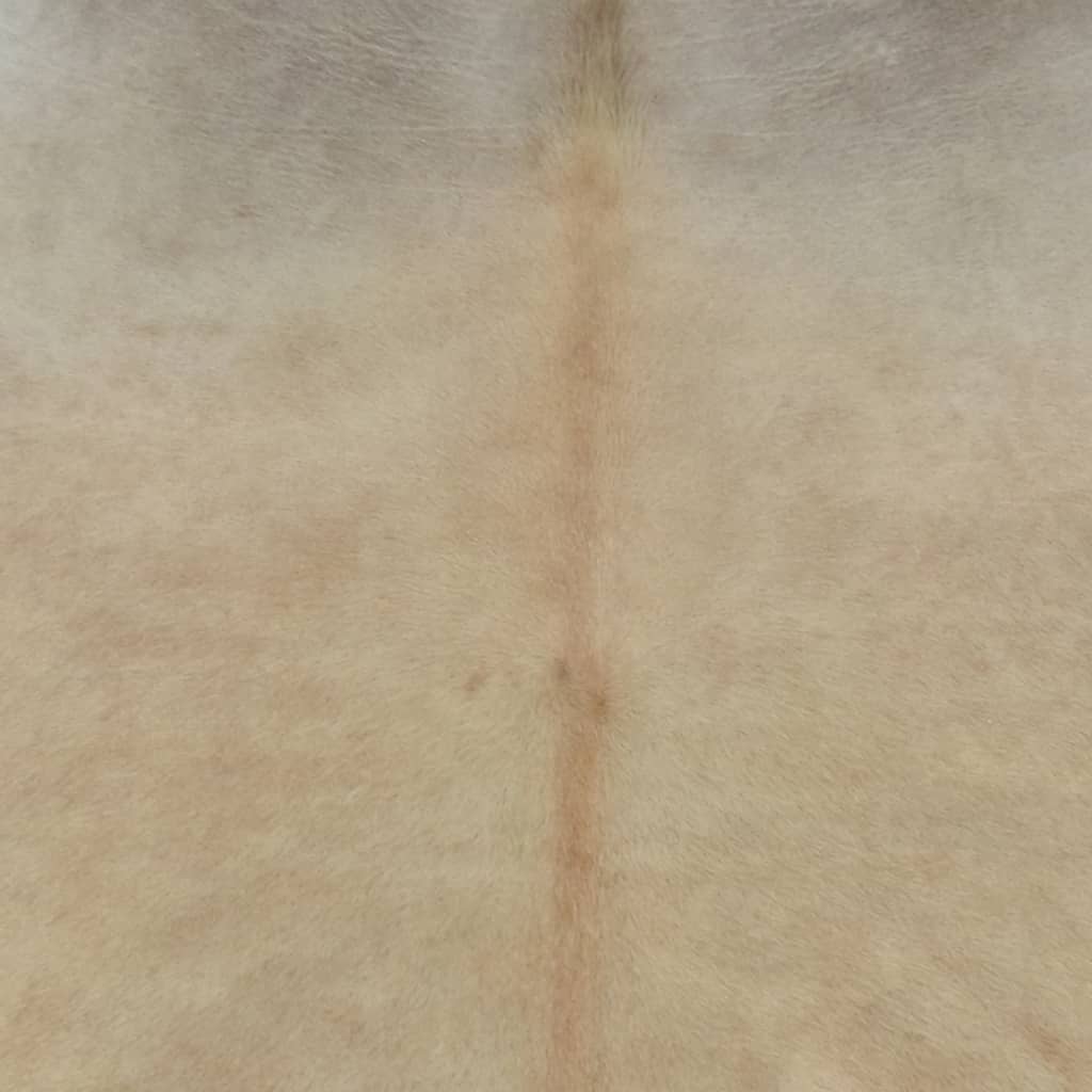 Matta äkta kohud 150x170 cm beige